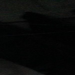 Meet your Posher, Bryan